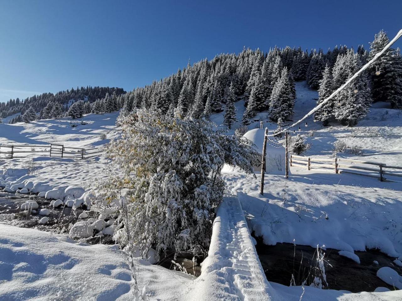 Mine Hostel Dzhergalan Jyrgalan Exteriör bild